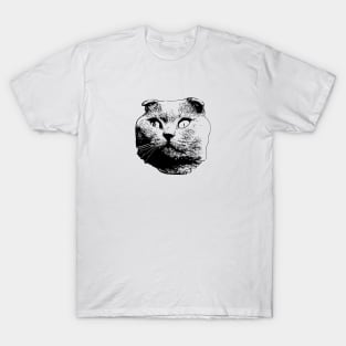 Scottish Fold Cat Art T-Shirt